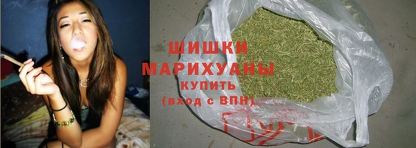 амф Арсеньев